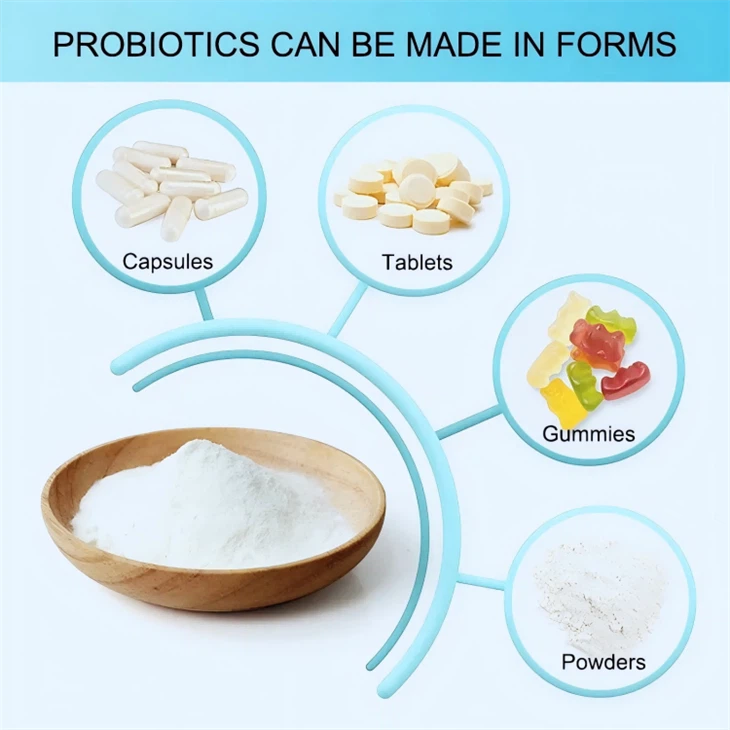 Lactobacillus Helveticus